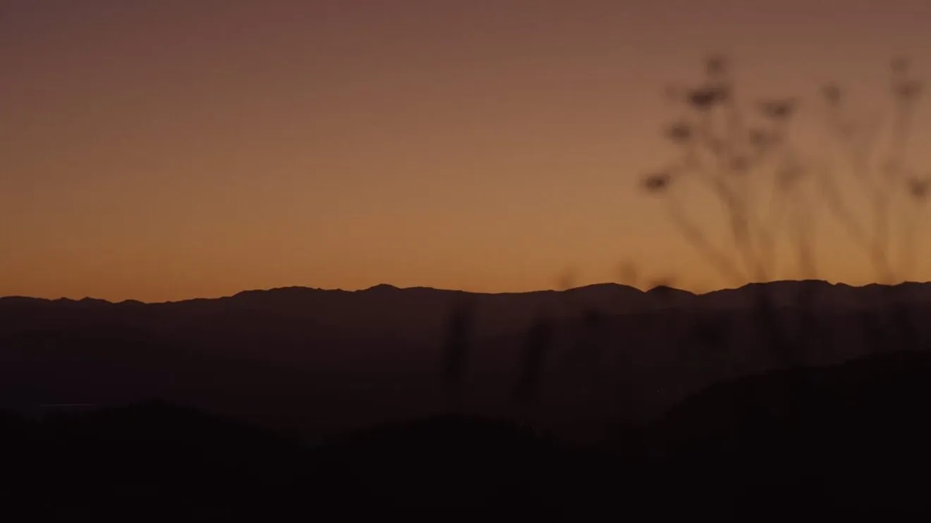 Kate Valley Group brand vision film