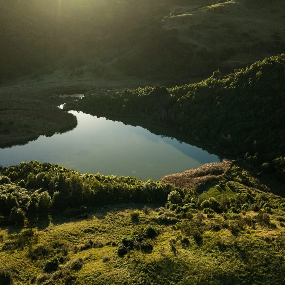 Kate Pond wetland in evening light